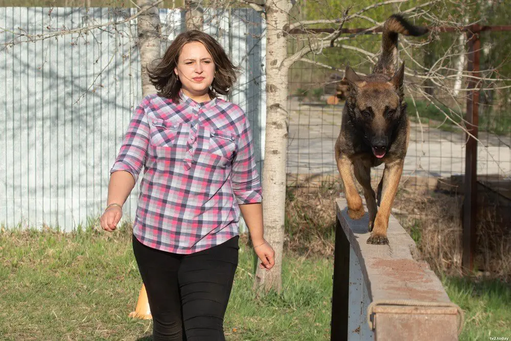 What to do if a pack of dogs attacks?