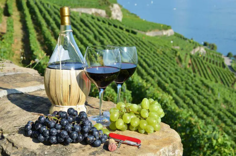 What will drinking wine lead to? Doctors reveal the secrets of this ancient drink