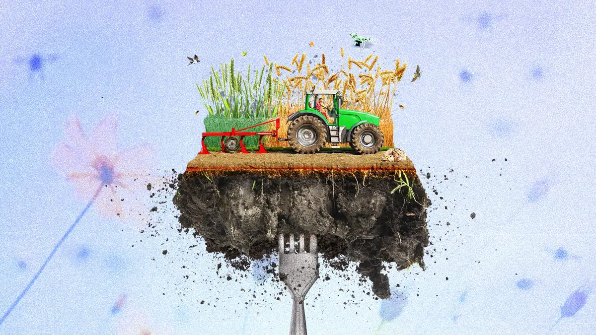 Regenerative Agriculture: Healthy Soil Best Bet for Carbon Storage