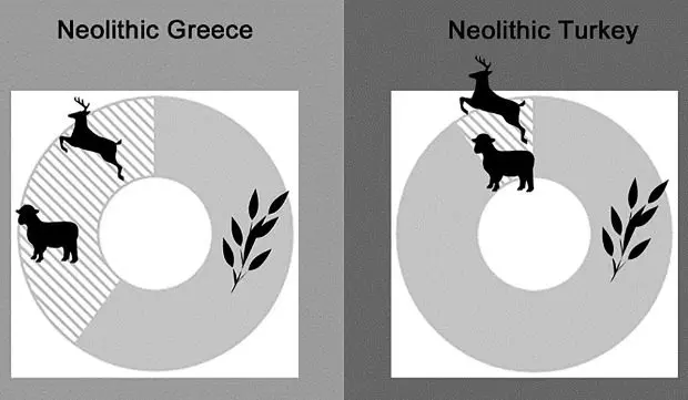 Bioarchaeologists figured out the diet of the first Greek farmers