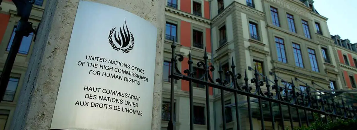 Urgent Call to the U.N. High Commissioner for Human Rights