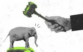 Court in New York: Elephant named Happy is not a person