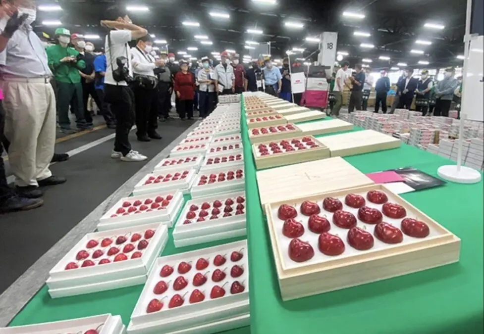 Elite cherries in Japan – buyer paid $ 296 for each berry