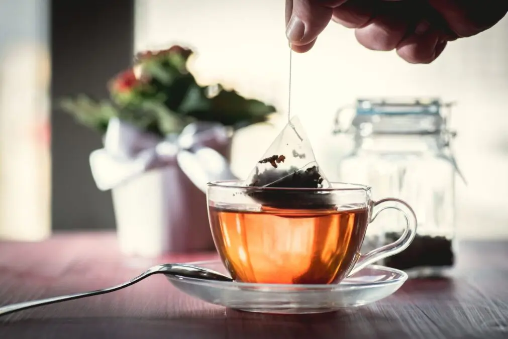 Over 1,000 species of insect DNA found in tea bags