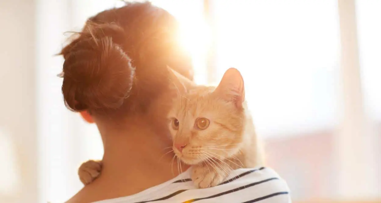 You’ll be surprised how much DNA we humans share with cats