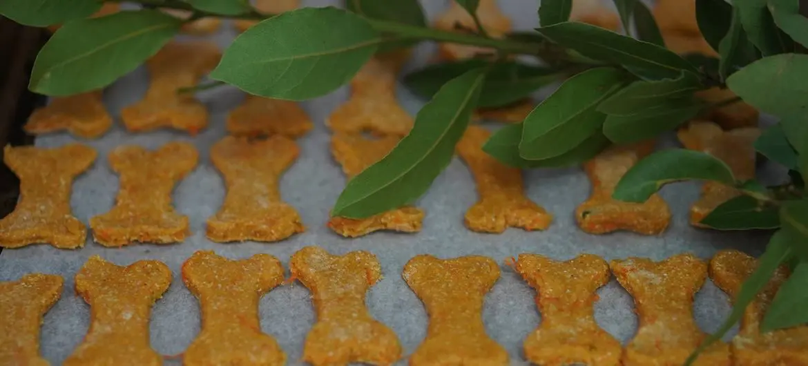 With leftover white fish, Daria produces dog treats enriched with sweet potatoes.