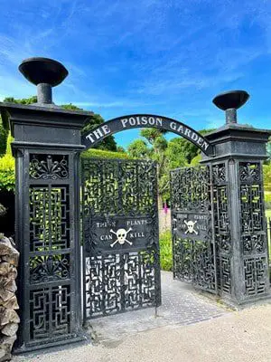 In the deadliest garden in Europe, more than 100 species that kill grow