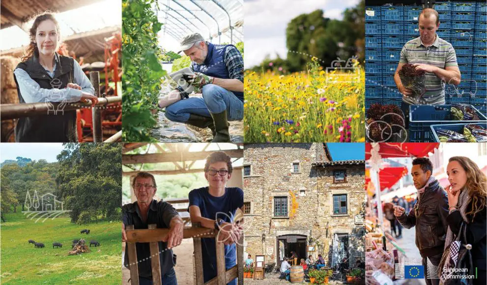 Common Agricultural Policy 2023-2027: the Commission approves the first CAP strategic plans