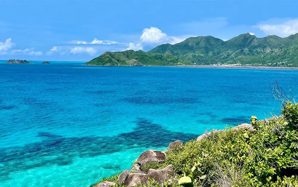 After the storm: what an environmental tragedy can teach us about climate resilience and ecosystem restoration