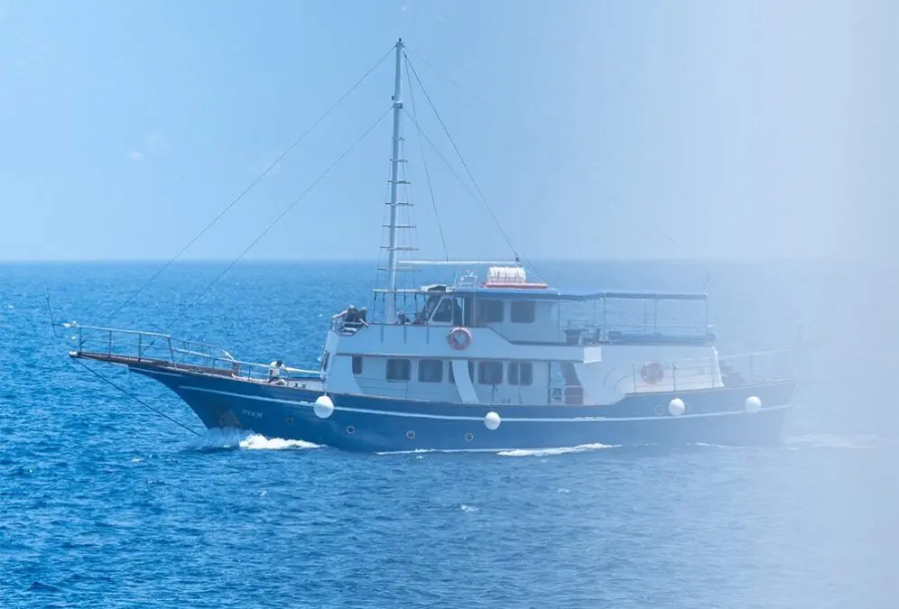 Commission proposes fishing opportunities for 2023 in the Baltic Sea in an effort to recover species