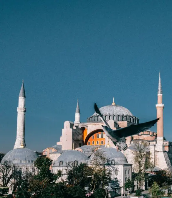 Open letter regarding the endangered monuments of Hagia Sophia and the Chora Monastery