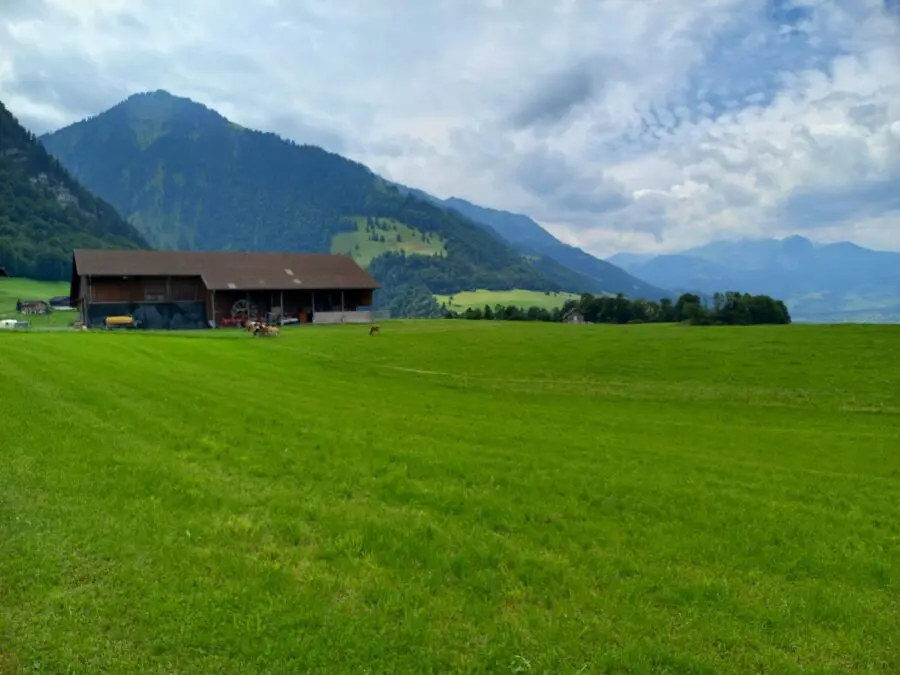 European smart cities meet to advance a climate-neutral future