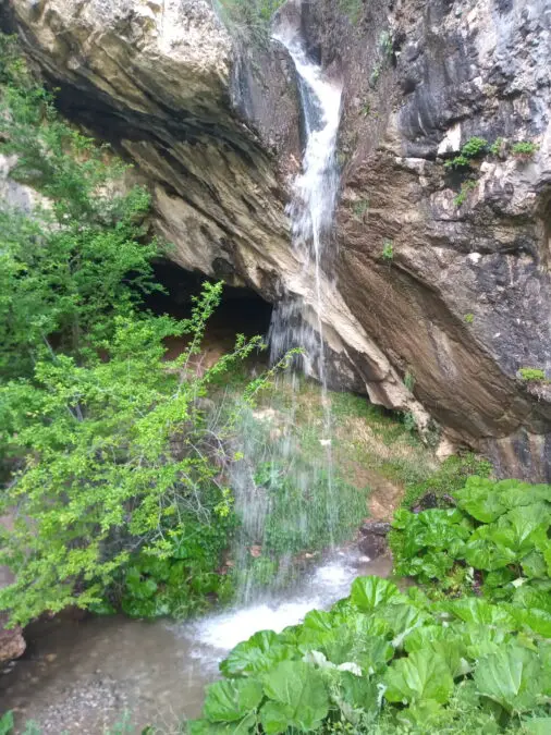 Ablution in Islamic Perspective