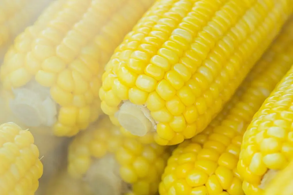How can boiled corn be dangerous?