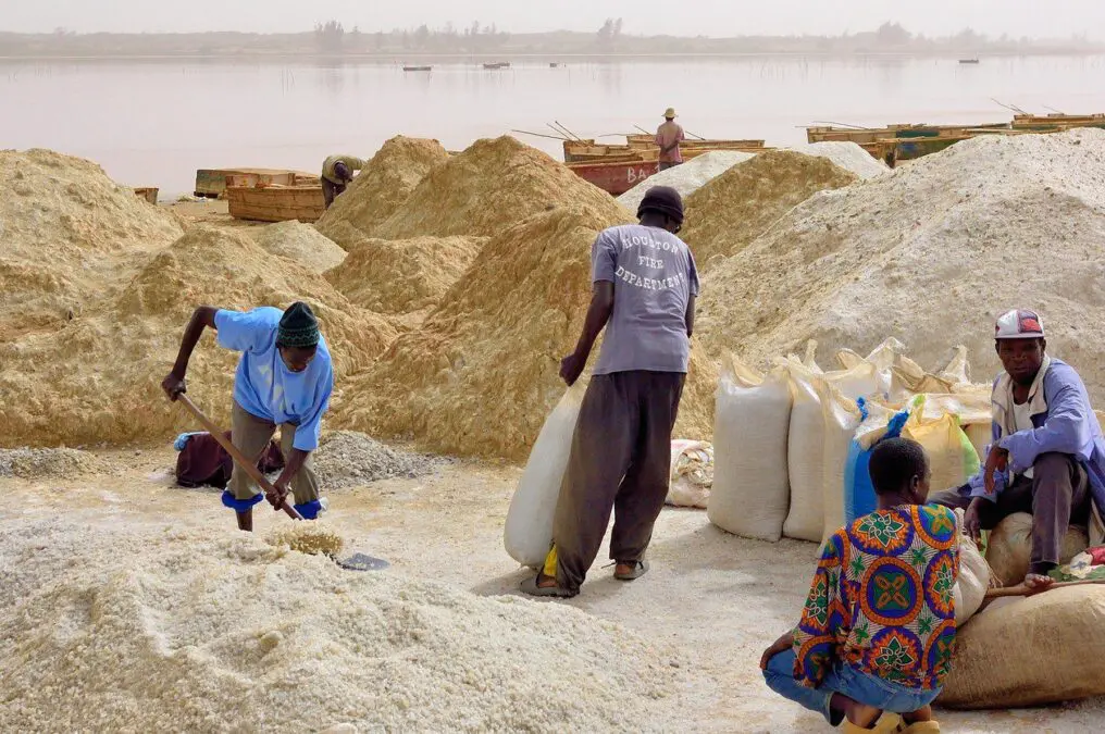 Senegal‘s Phenomenal Pink Lake