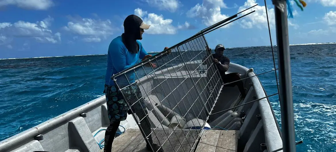 The Raizal community is actively involve in coral reef restoration efforts. Here two men are ready to install a table-type coral nursery. The Raizal community is actively involve in coral reef restoration efforts. Here two men are ready to install a table-type coral nursery.