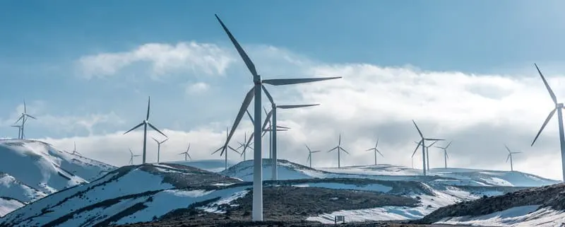 Moving towards sustainability in times of multiple crises and uncertainty