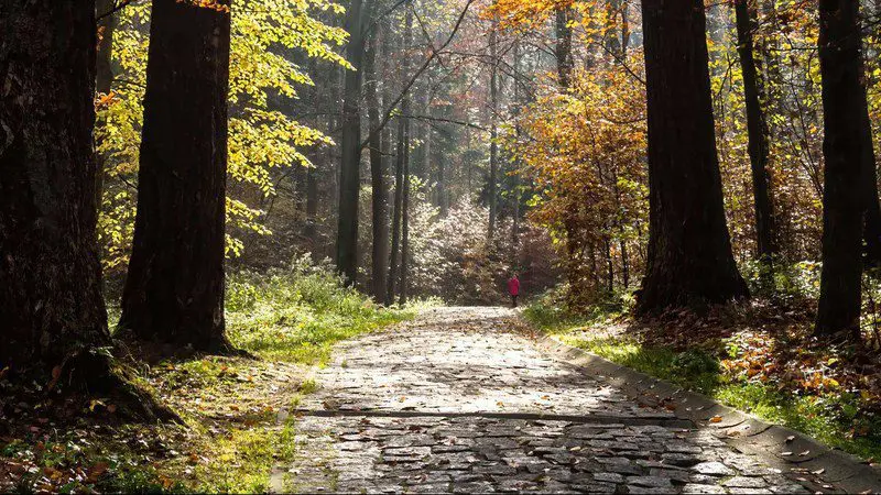 2030 targets within reach but need stronger action