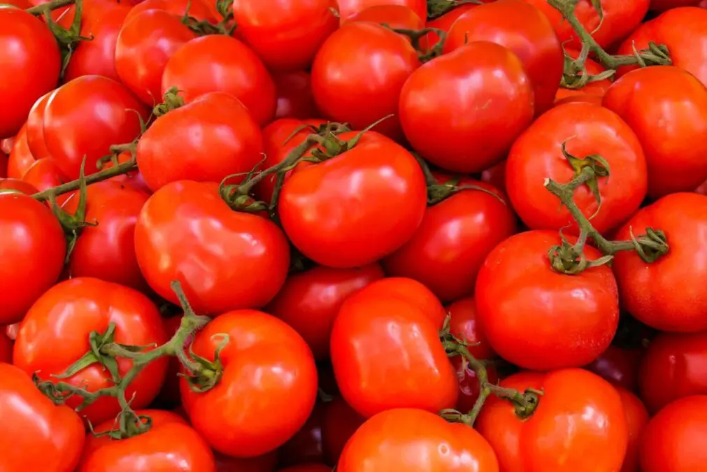 People with this disease should be careful with tomatoes