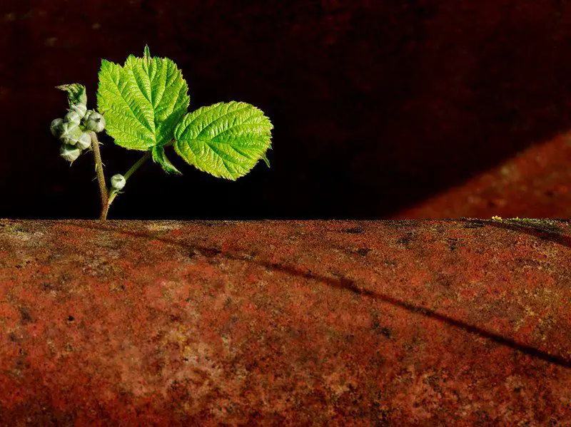 Europe needs to step up circular economy efforts, including on waste prevention