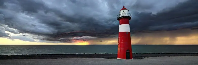 Winners of EEA 2022 Well with Nature photo competition announced