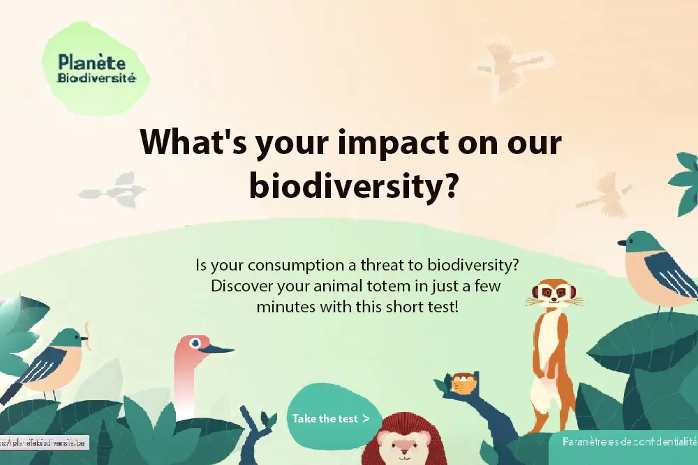 Biodiversity invites itself into primary and secondary school classes
