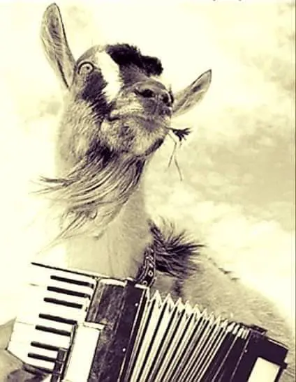 On Friday the 13th hung the condemned, waiting for the end of the world in 2029