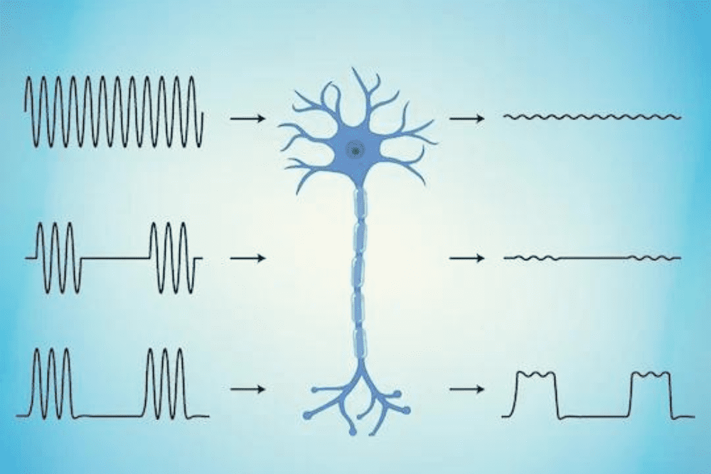 Magnetoelectric Material Can Reconnect Severed Nerves