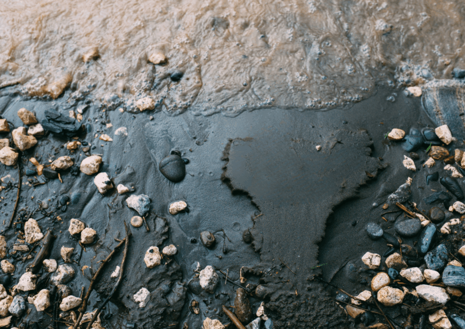 Maritime safety: deal on stricter measures to stop pollution from ships