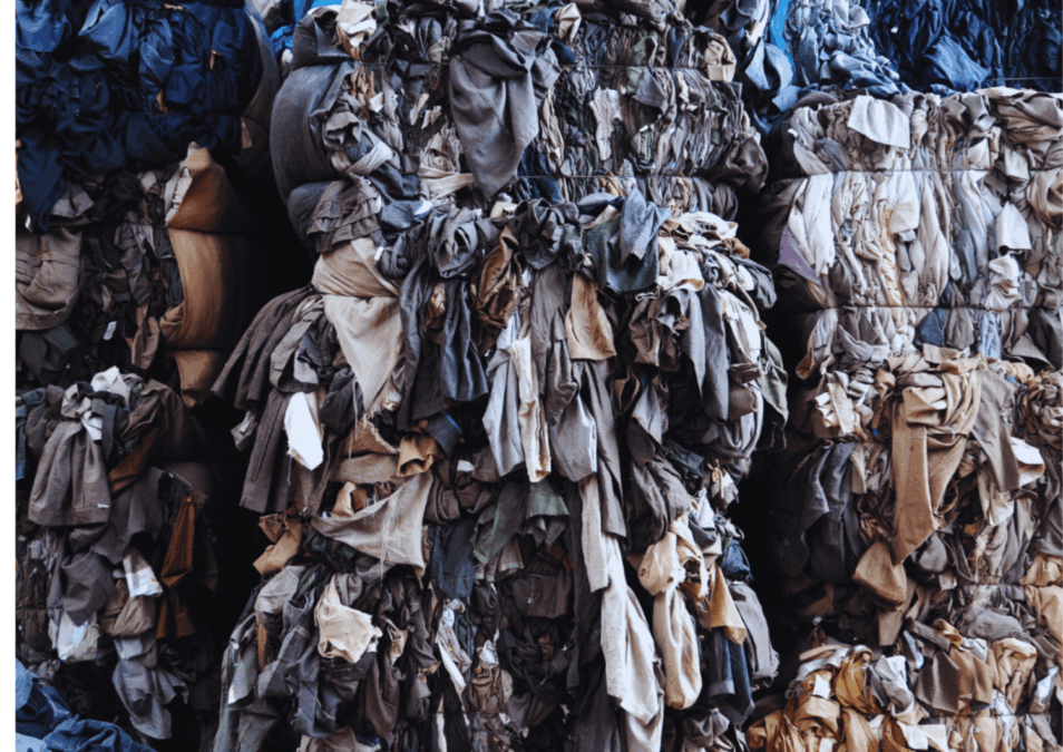 MEPs call for tougher EU rules to reduce waste from textiles and food
