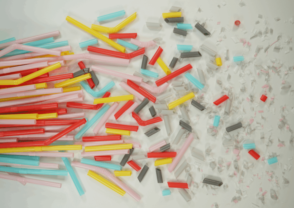 Scientists gave mice water with the amount of microplastics estimated to be ingested by humans each week