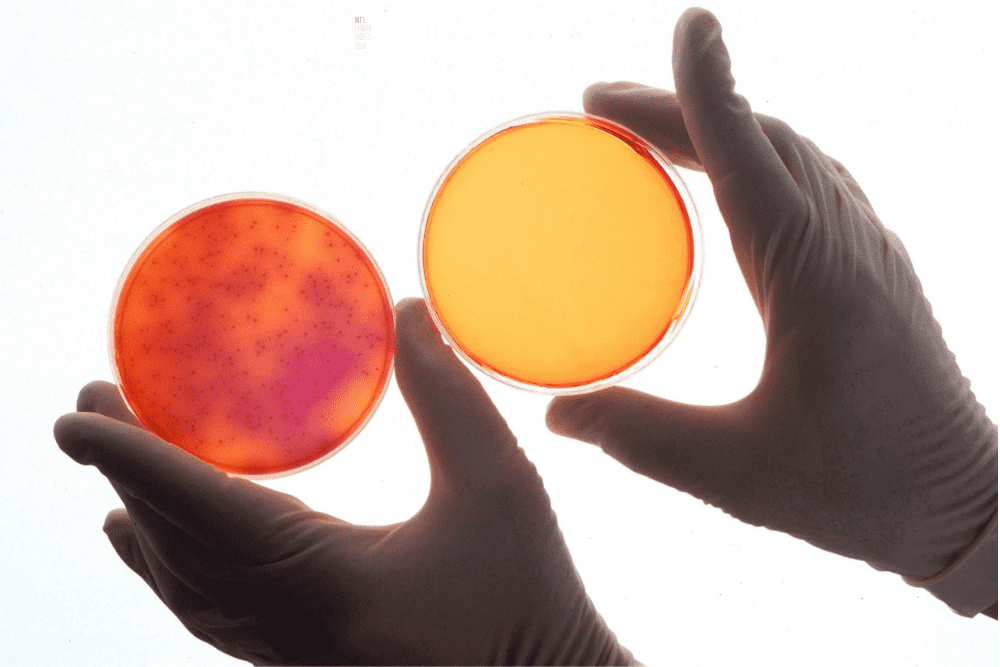 New technology changes how proteins in individual cells are studied