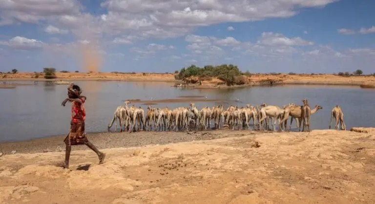 Hunger stalks Ethiopia as UN aid agency halts support amid funding cuts