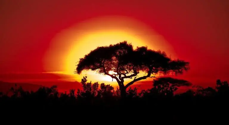 Climate change takes increasingly extreme toll on African countries