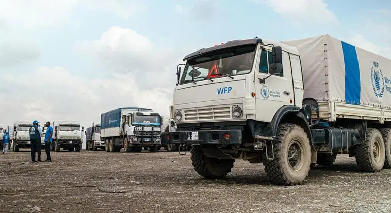 World News in Brief: Sudan aid update, child migrant deaths at sea, nursing shortages, invasive pest scourge