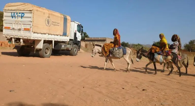 Another year, another rise in food insecurity – including famine