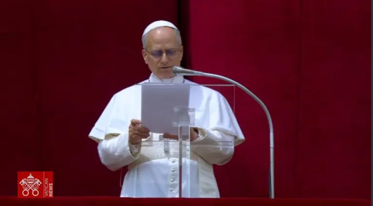 Pope Leo XIV at Regina Caeli: A Call to Prayer, Vocations, and Christian Service