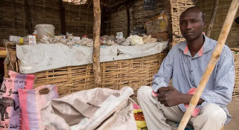 Central Africa at a crossroads amid rising tensions and instability