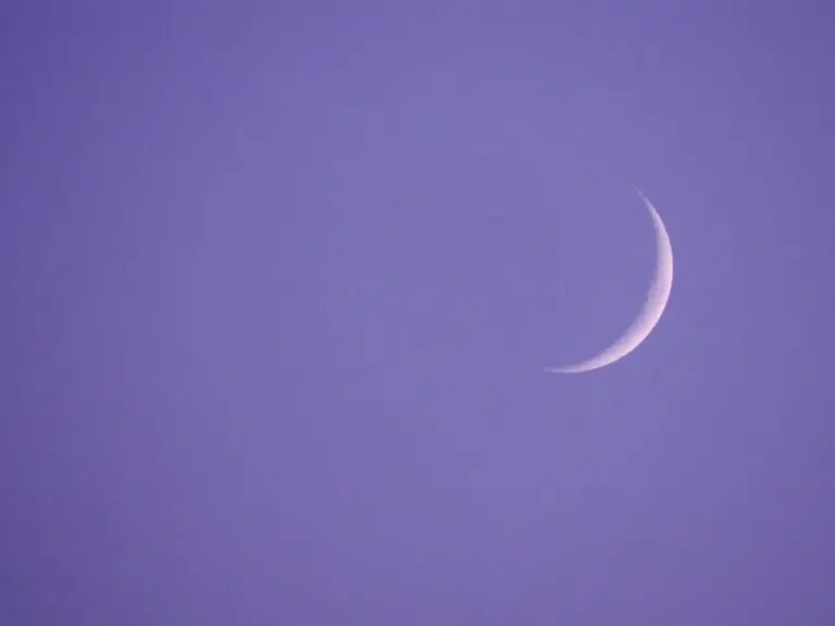 From the world’s world to the stars: a new space race