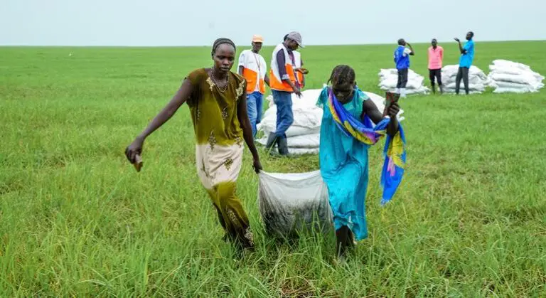 Food lifeline fading for millions in South Sudan hit by conflict and climate shocks