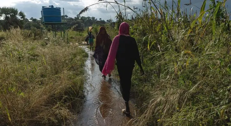 Sudan: UN sounds the alarm as health and food crises worsen across the country