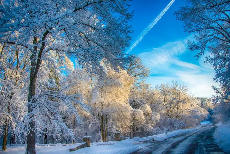 Human rights can be a “strong lever for progress” in climate change, explains the head of the United Nations