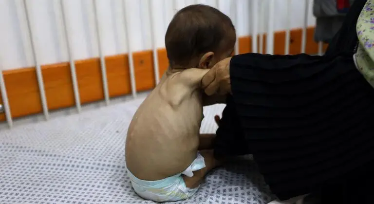 Gaza: ‘No one should ever be forced to risk their life to find food,’ says UN humanitarian agency