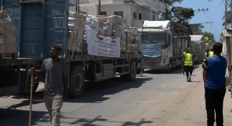 Just 1.5 per cent of Gaza’s agricultural land remains accessible and undamaged