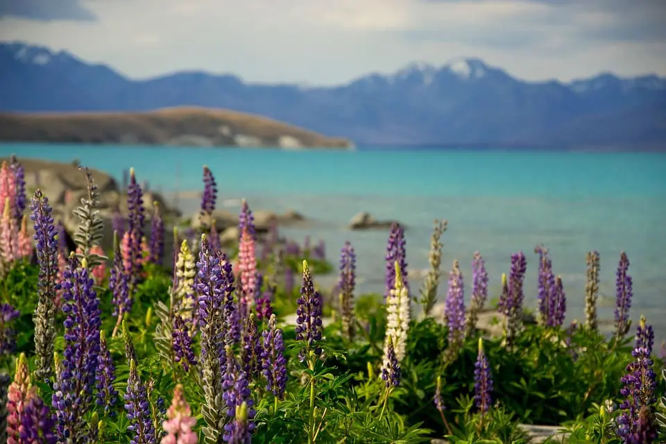 International Criminal Court: new American sanctions “a blatant attack” against judicial independence