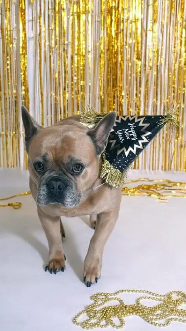 Live security advice: Israel calls for focusing on the fate of Gaza hostages