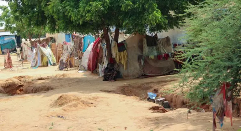 Sudan: El Fasher mosque and hospital attacks leave at least 20 dead