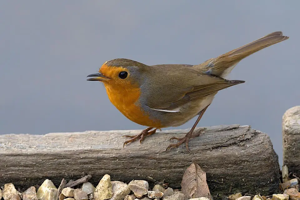 Can AI create a fairer future for people with disabilities?