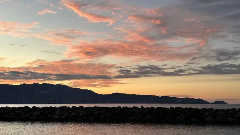 Ecology and Ecumenism: a Shared Commitment to Creation