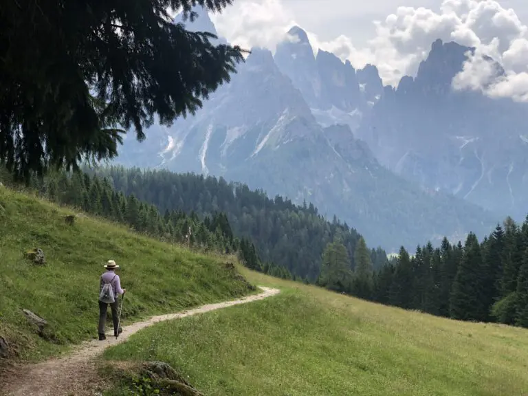 ‘The Whole Universe is a Living Gospel’ – Ecology needs a Mystique